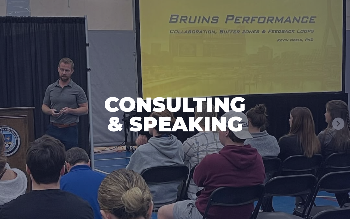 Services megamenu Consulting Speaking