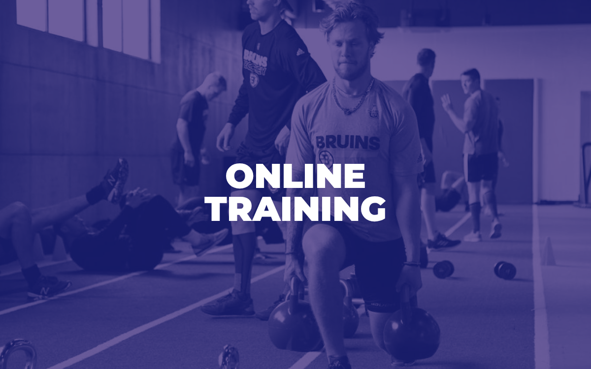 Online Training